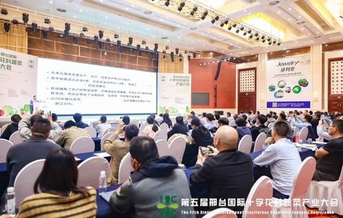 小種子撬動大產業(yè) 第五屆邢臺國際十字花科蔬菜產業(yè)大會盛大啟幕